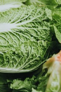 Receitas de cozinha deliciosas, fáceis e saudáveis para experimentar em casa